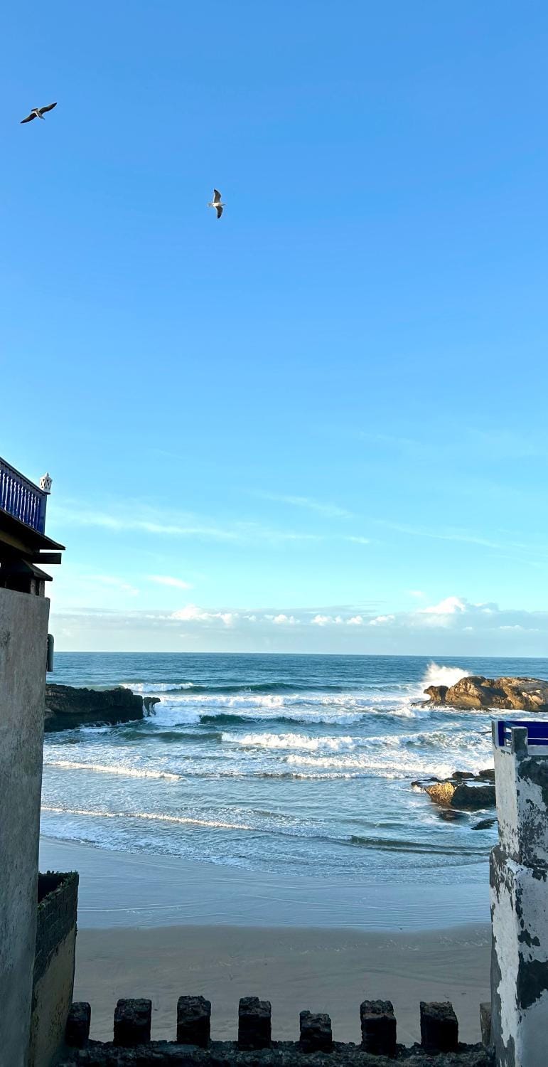 Authentic Riad - Sea View & Rooftop Spa House in Essaouira