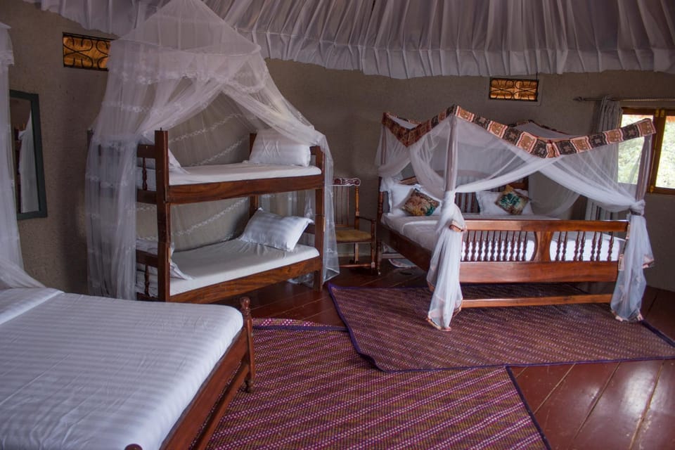 Photo of the whole room, bunk bed