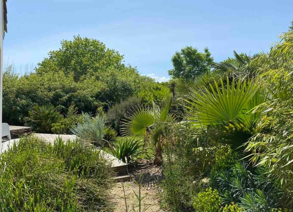 Au cœur de Trégastel, noyée dans la végétation House in Trégastel