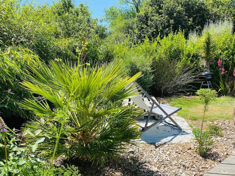 Au cœur de Trégastel, noyée dans la végétation House in Trégastel