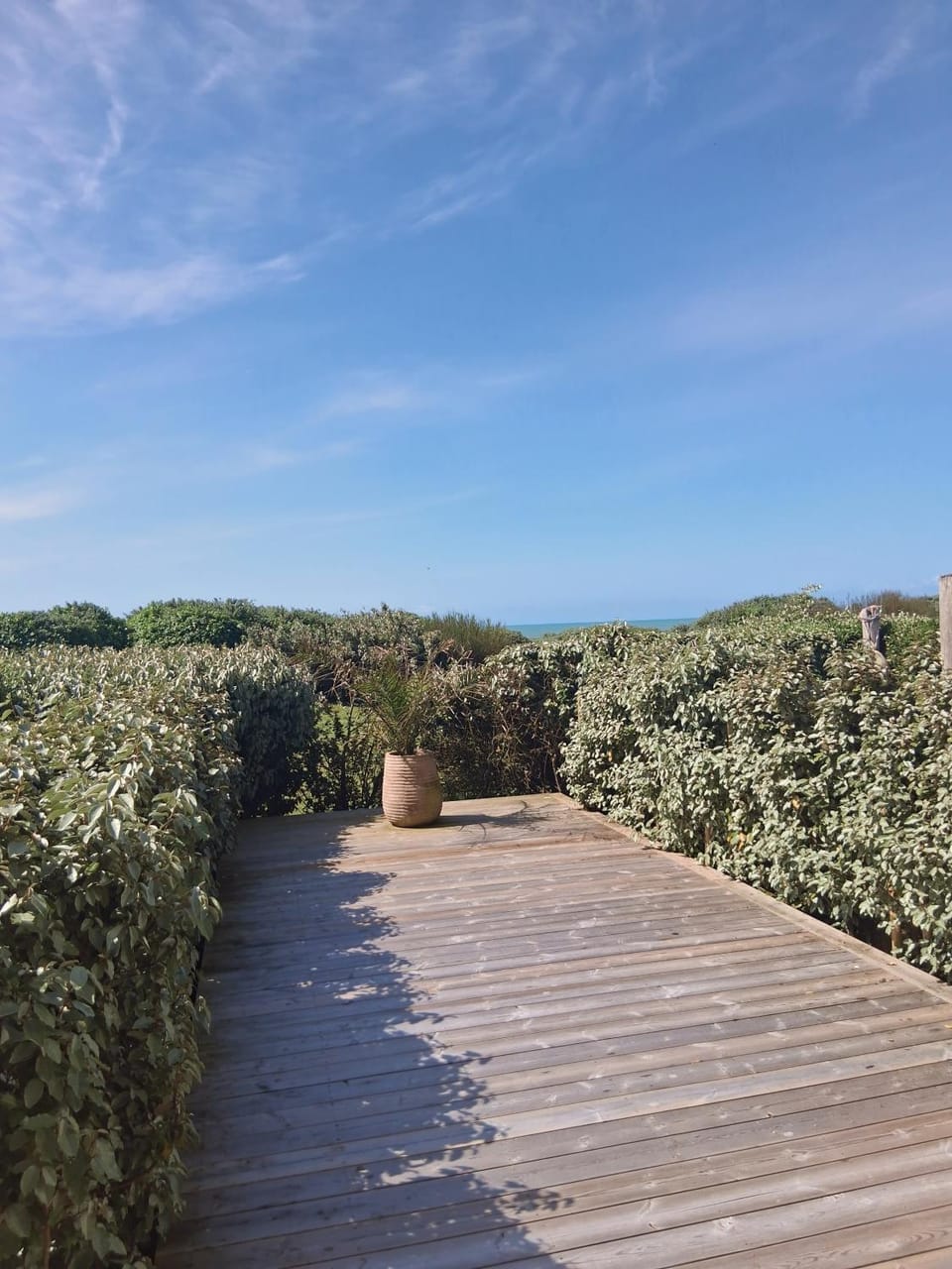 Sea view