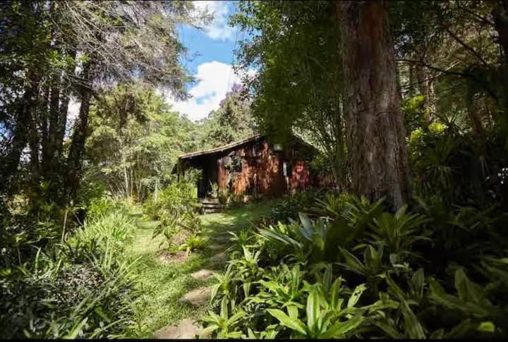 Cabana Santa Premium Chalet in Santa Teresa