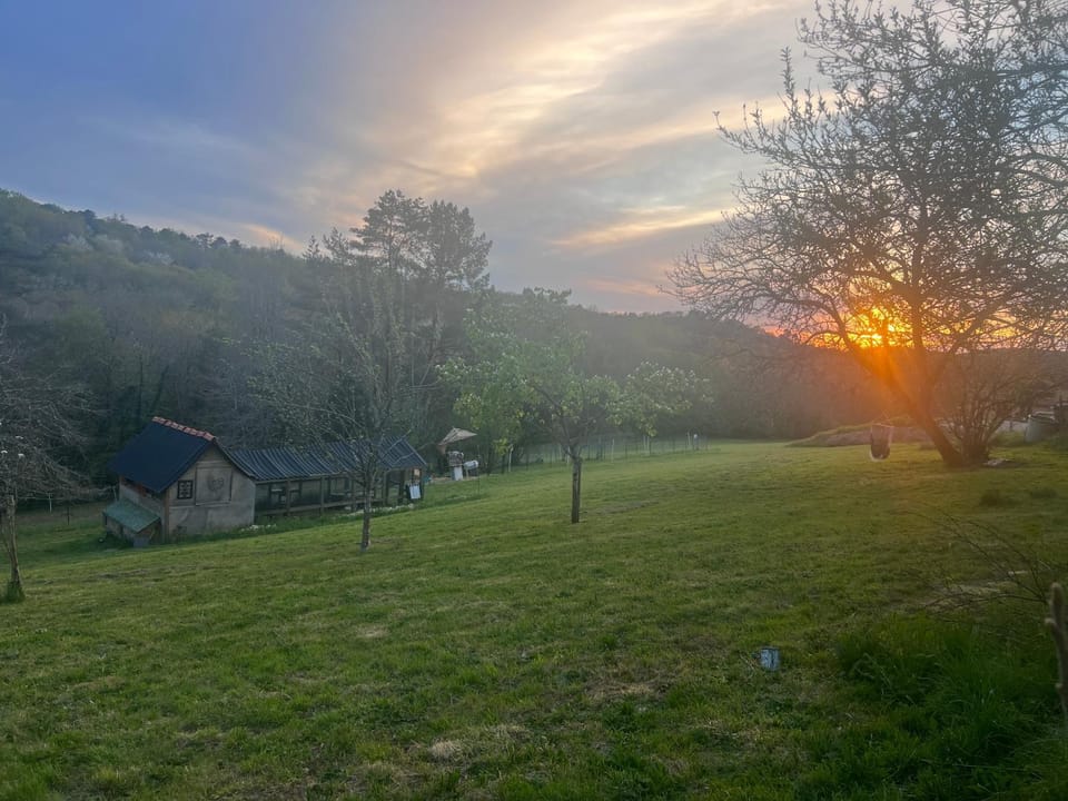Countryside Views Near Sarlat - Goats, Ducks & Chickens - Farm Experience House in Occitanie