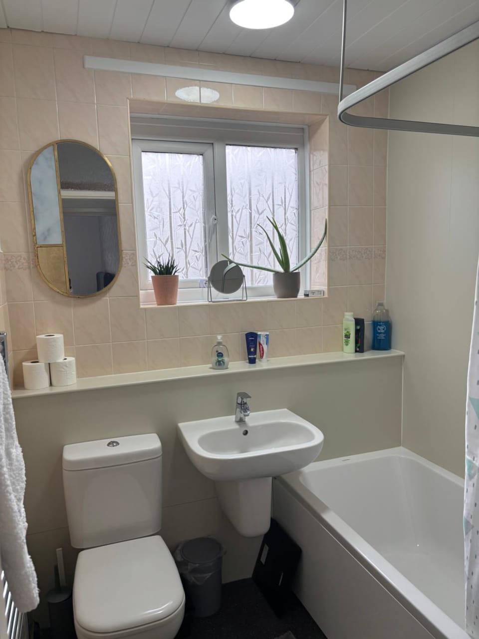 Toilet, Bathroom, Bath