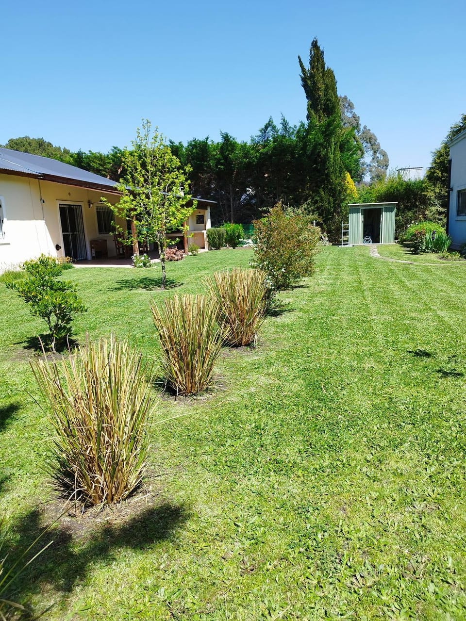 Inner courtyard view
