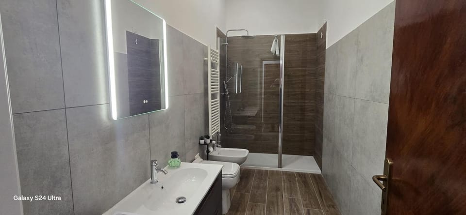 Shower, Toilet, Bathroom, bidet