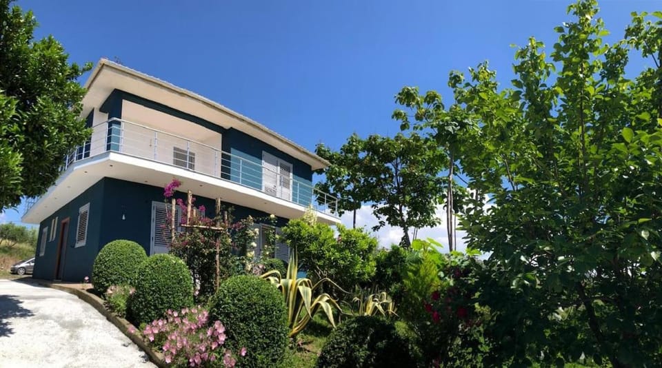 Blue Vila Villa in Tirana County, Albania