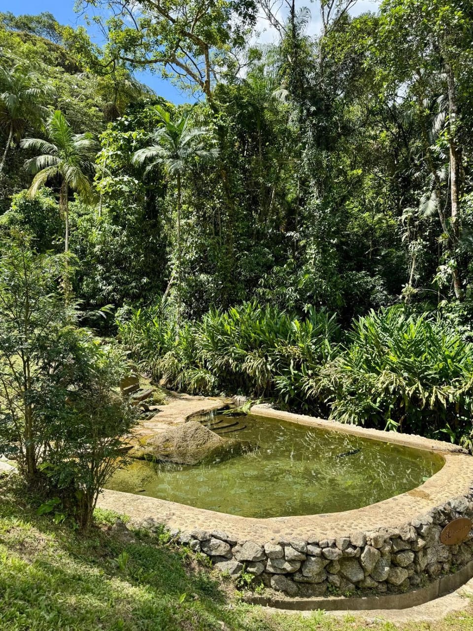 Natural landscape, Garden, Garden view, Pool view, Swimming pool