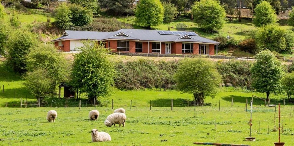 Sunlit Sanctuary at Kingston House in Tasmania