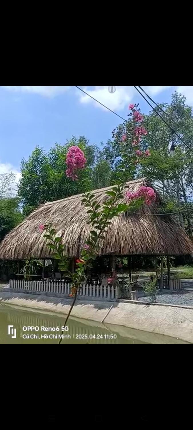 Cho thuê chòi view hồ -Homestay Me Khang 2 Campground/ 
RV Resort in Vietnam