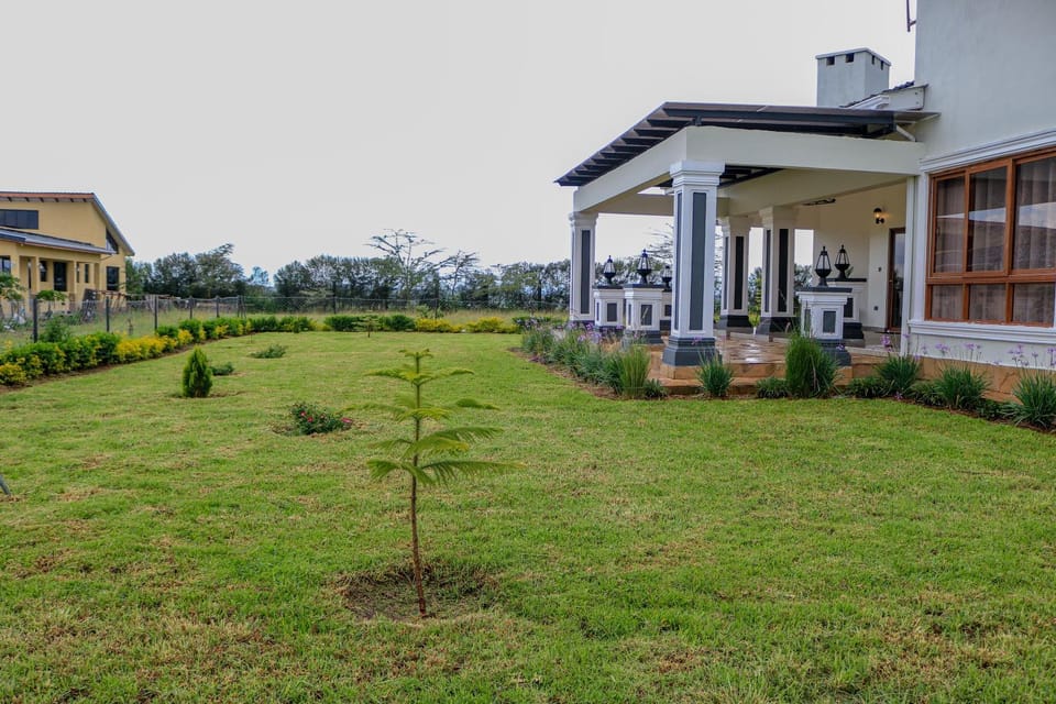 Inner courtyard view
