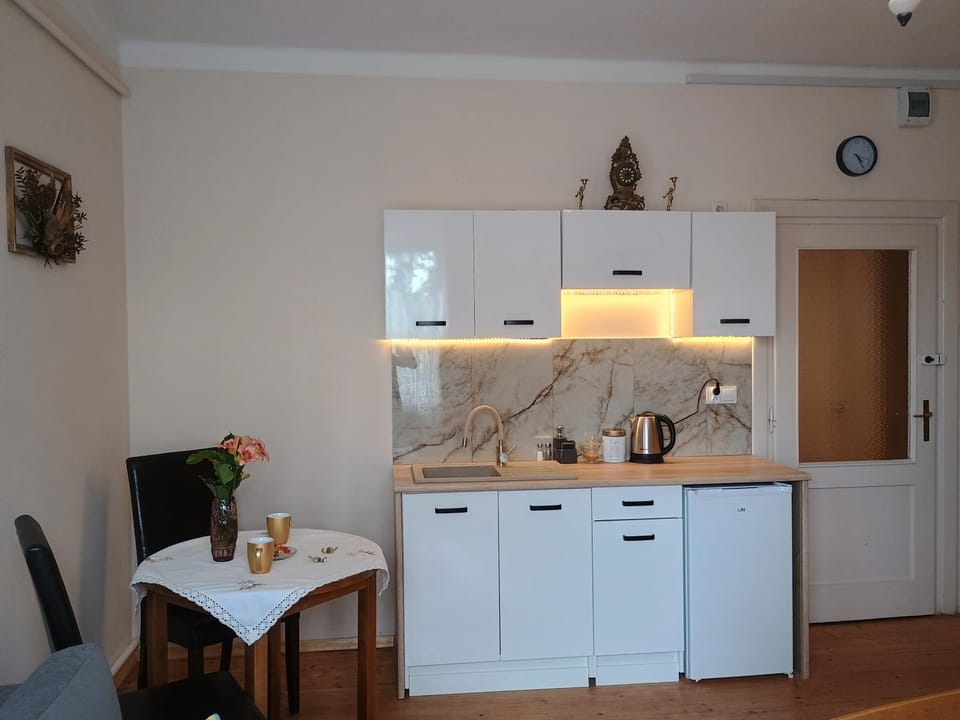 Vintage EM Apartment in Poland