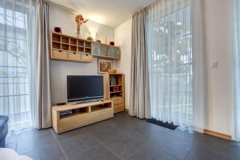 TV and multimedia