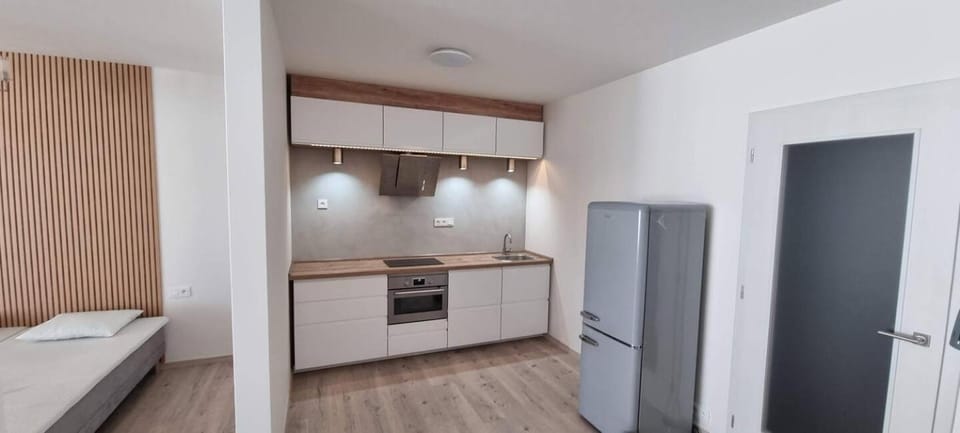 Byt v centru Ostravy Apartment in Czechia