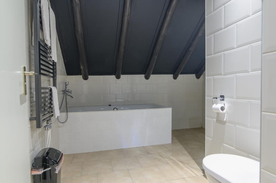 Shower, Toilet, Bathroom, Bath