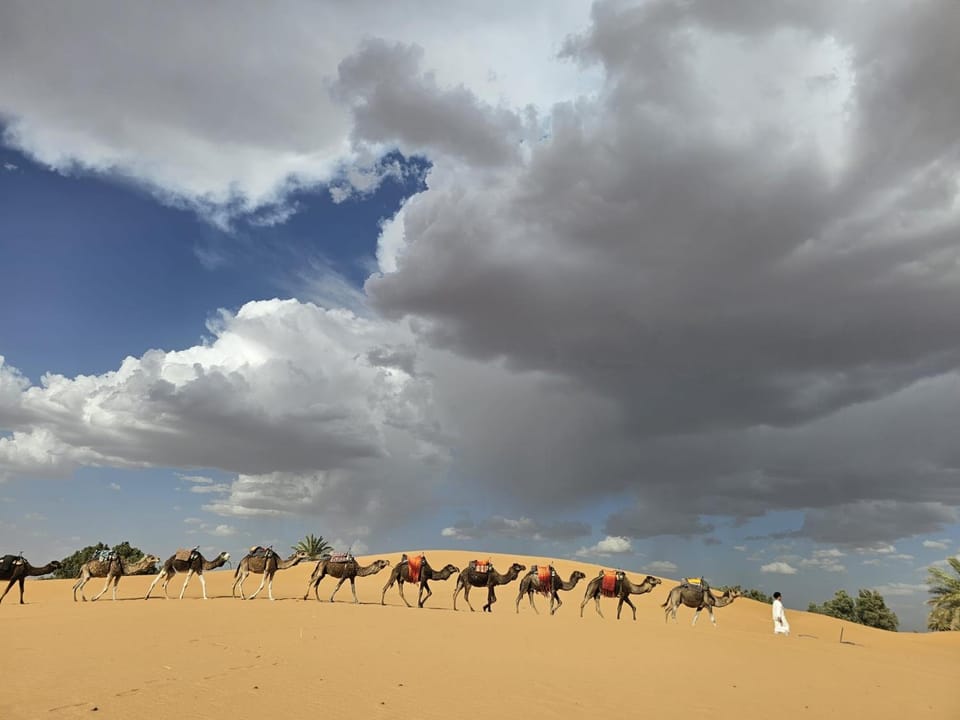 Arena Hostel Camp Luxury tent in Morocco