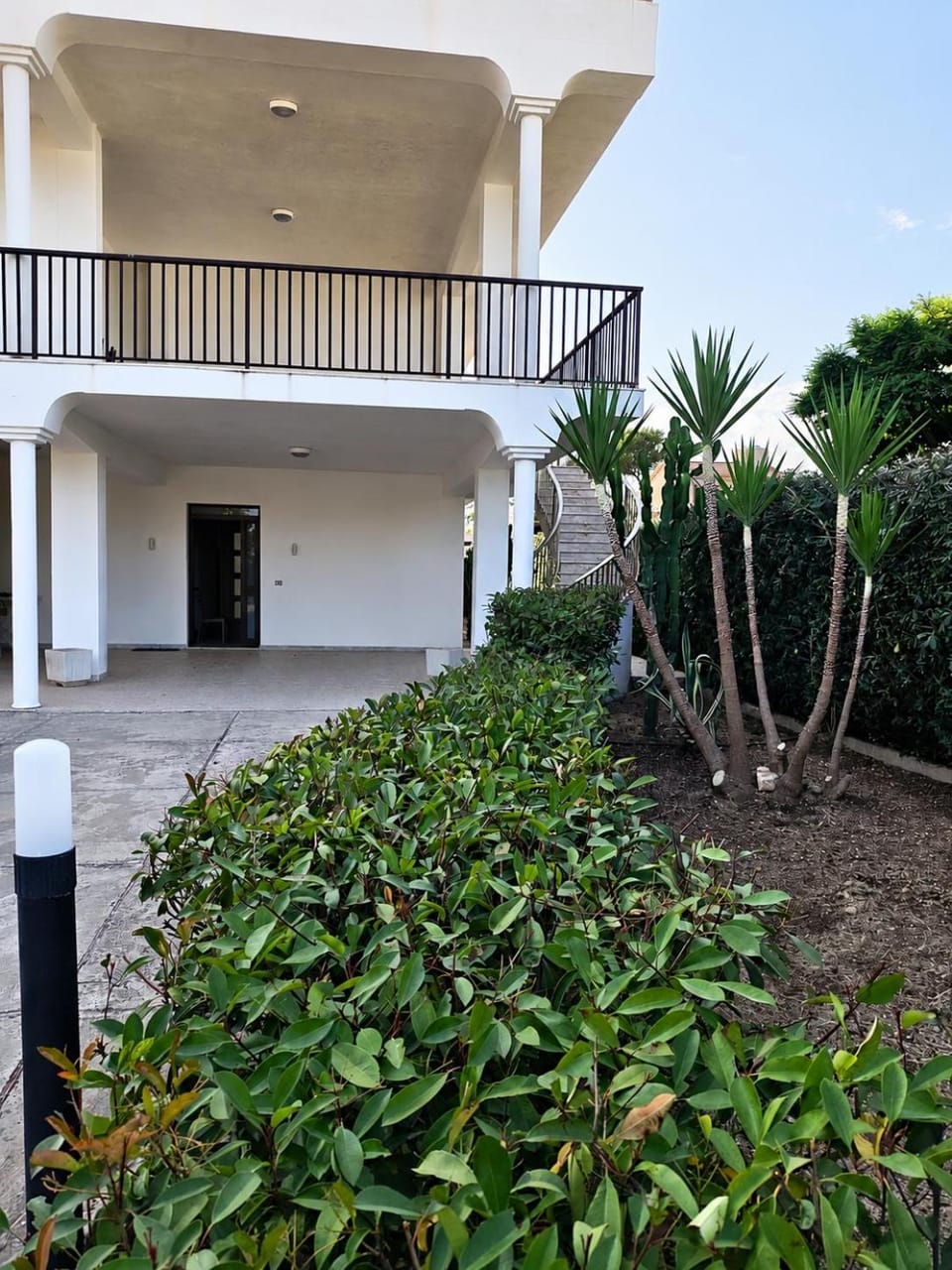 Garden view