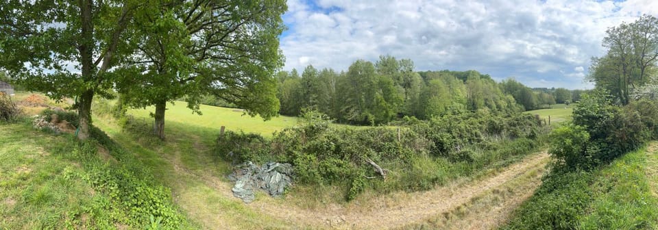 View (from property/room)