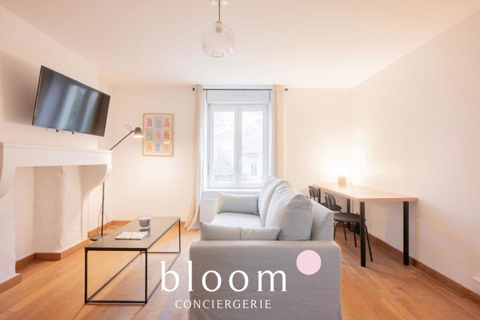 Le Chaleureux Leclerc 2 chambres 4p Apartment in Nancy