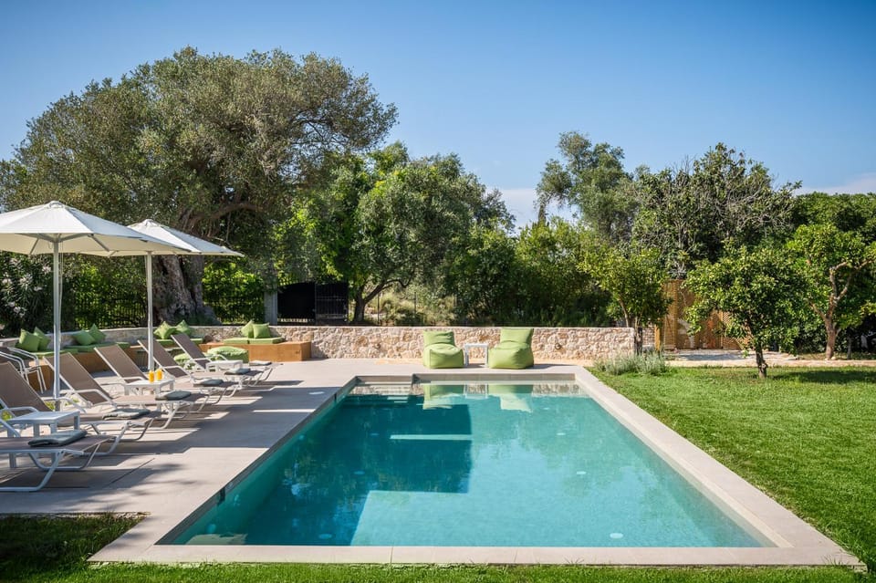 Garden, Swimming pool, sunbed