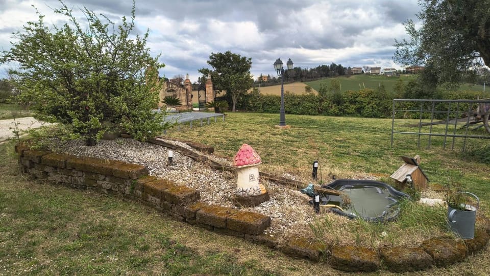 Garden view