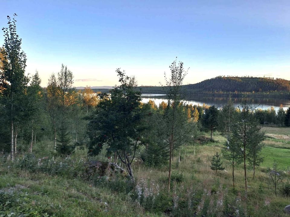 View (from property/room)