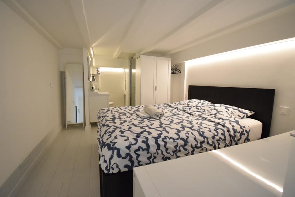 Duplex Cannes centre Apartment in Cannes