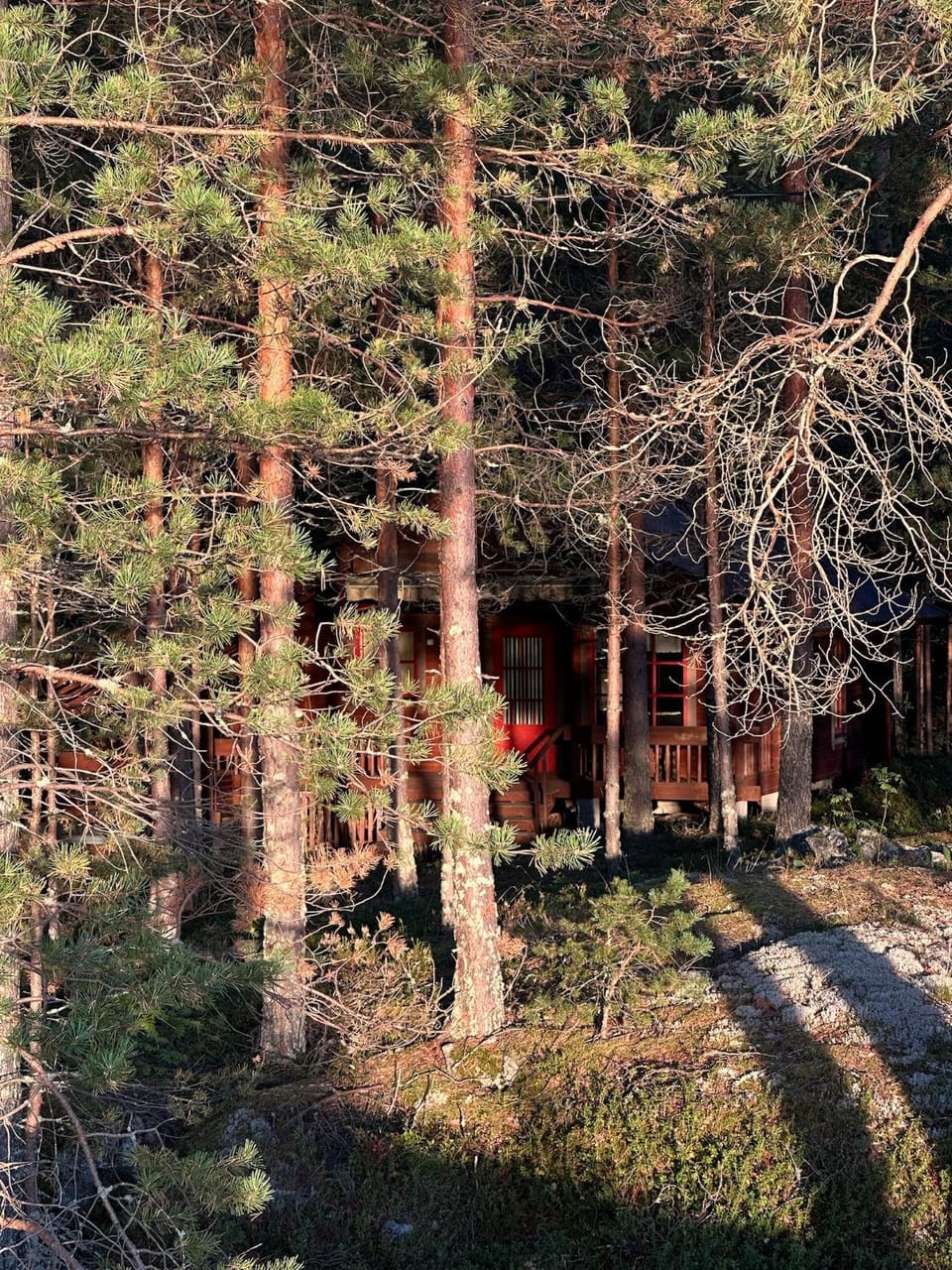 Natural landscape