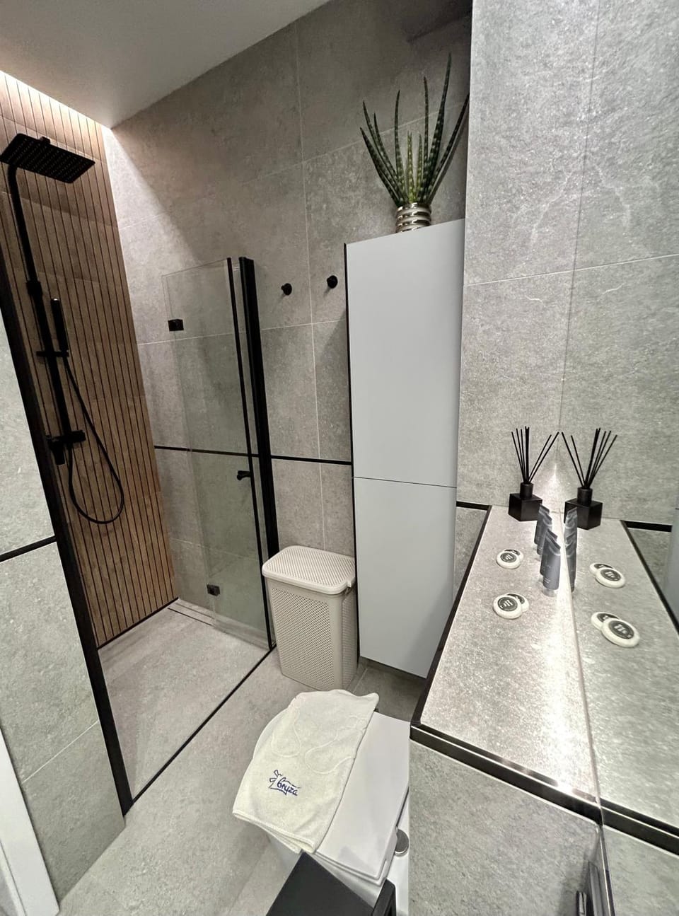 Shower, Toilet, Bathroom, towels