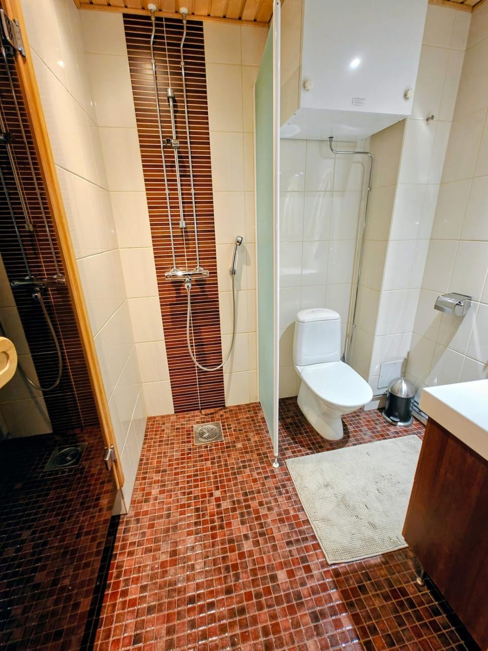 Shower, Toilet, Bathroom, bidet