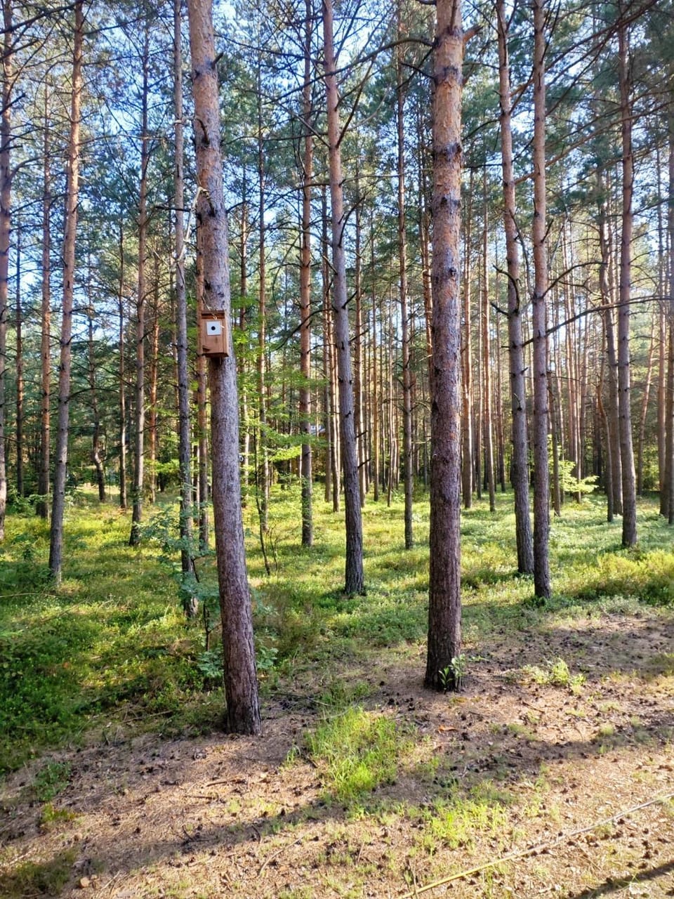 Leśny Relaks House in Greater Poland Voivodeship