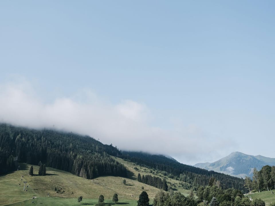Natural landscape