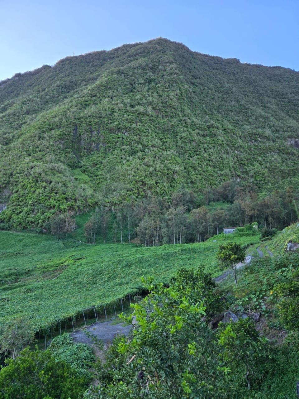 Mountain view