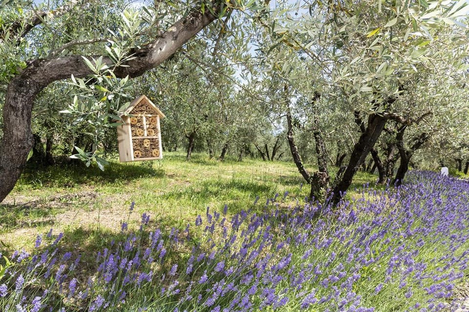 Palagina Il Borgo Agricolo Campground/ 
RV Resort in Tuscany
