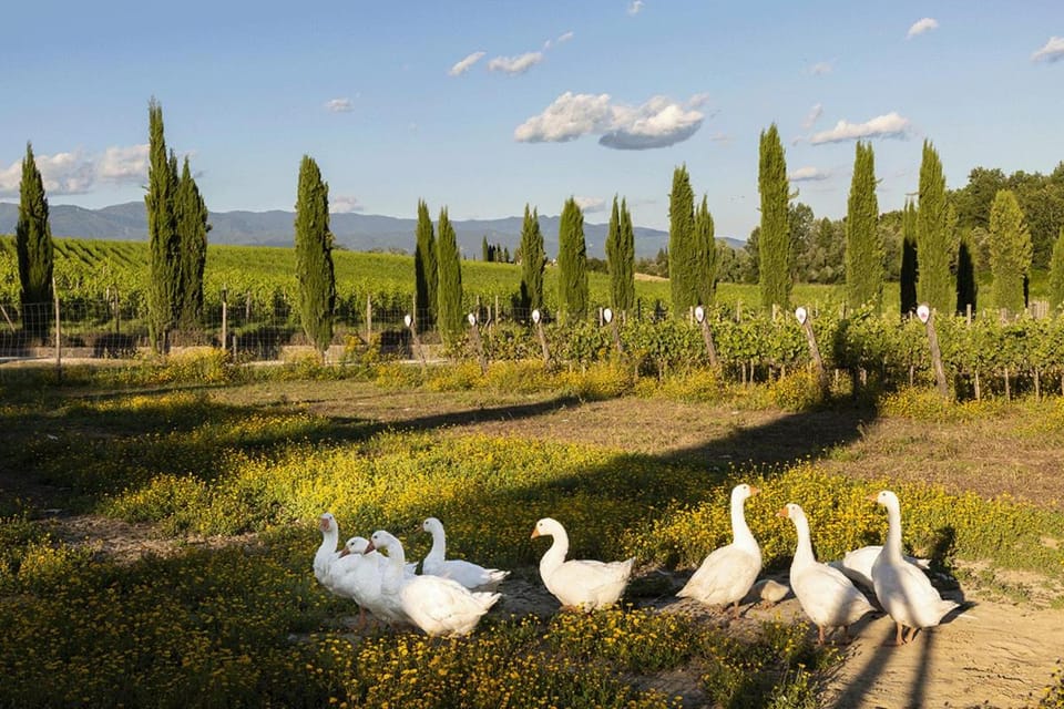 Palagina Il Borgo Agricolo Campground/ 
RV Resort in Tuscany