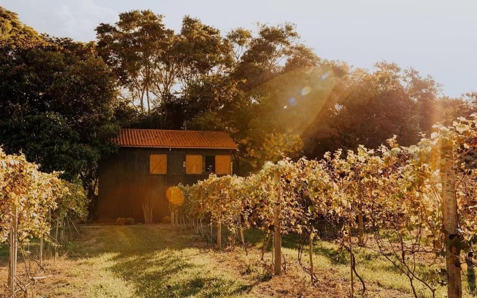 Arroyo & Grapes Villa in State of São Paulo