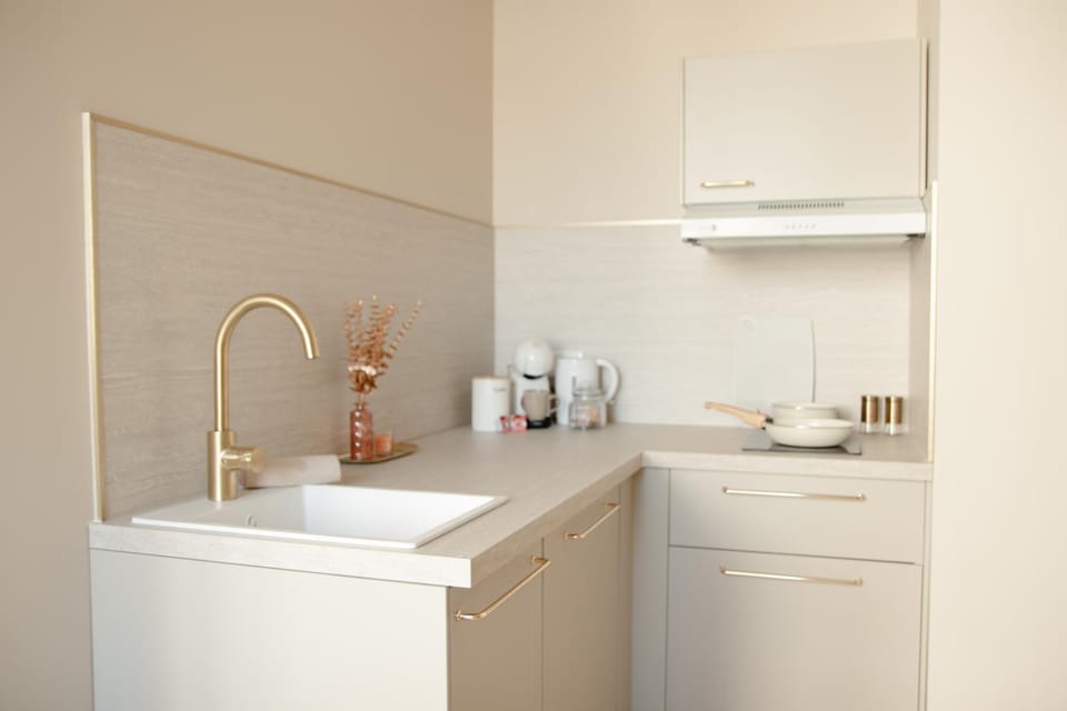 Studio meublé Le Refuge doré avec Netflix Apartment in Grand Est
