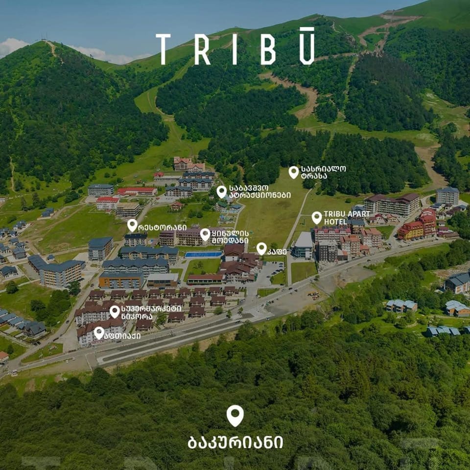 Tribu apart Hotel bakuriani Apartment in Georgia