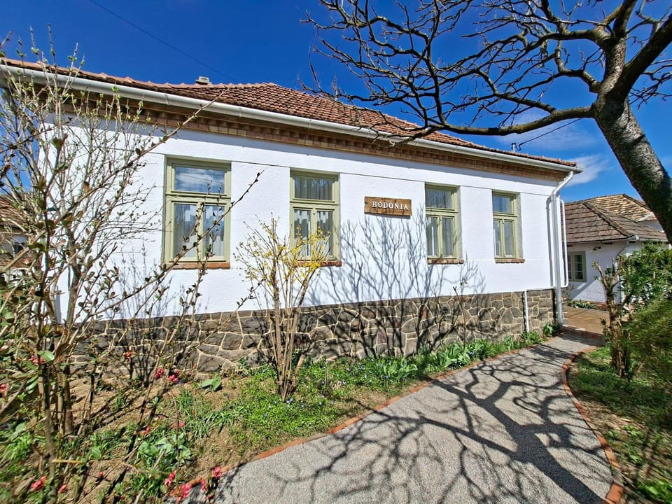 Property building, Spring, Garden, Street view