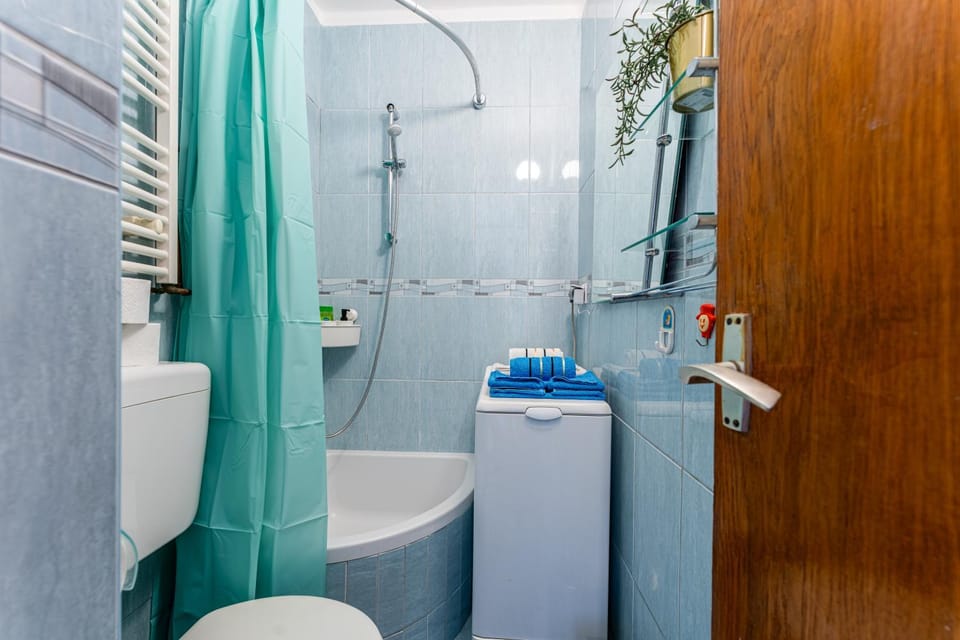 Shower, Toilet, Bathroom, Bath, heating, internet, towels, washing machine