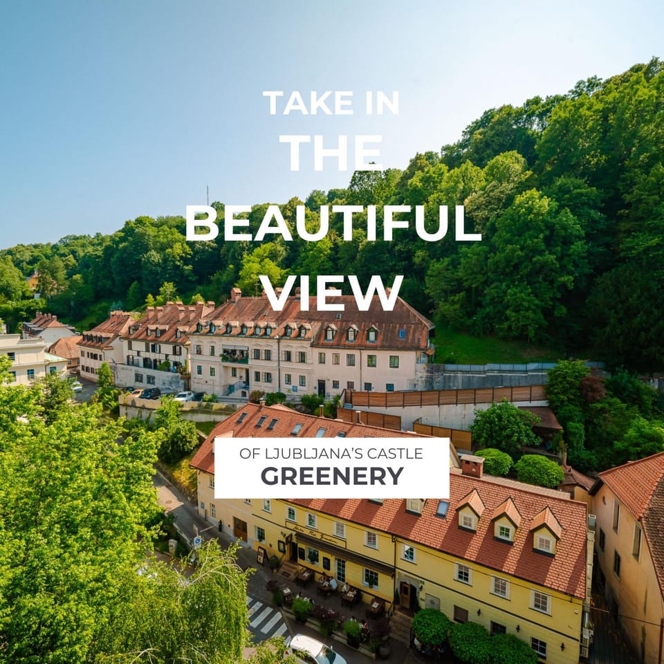 Peaceful City Stay Apartment in Ljubljana