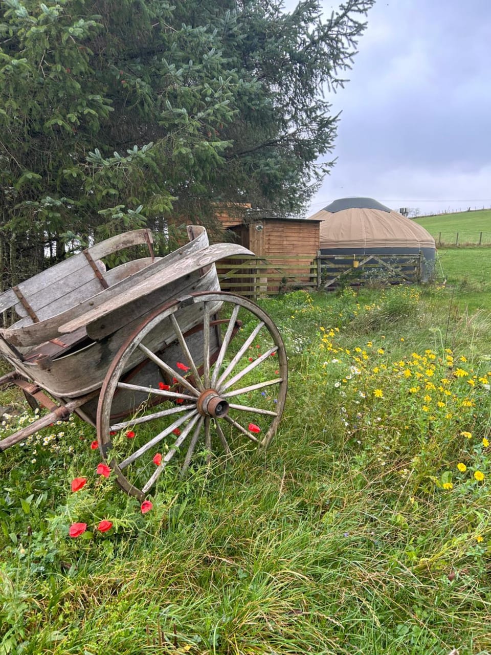 Garden, Garden view
