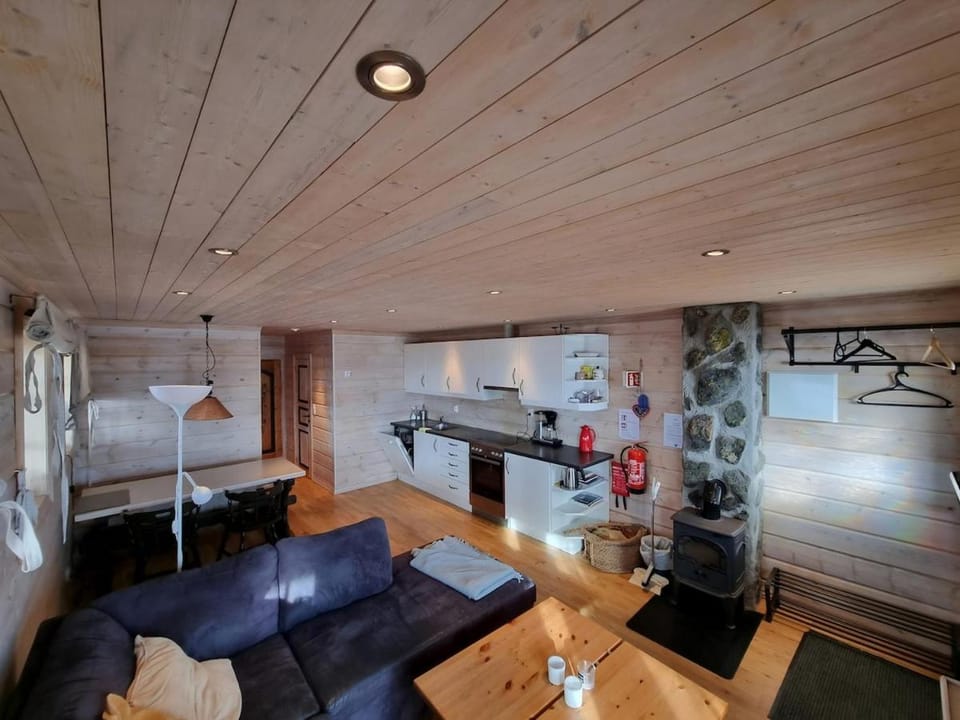 Syndinstøga Apartment in Viken, Norway