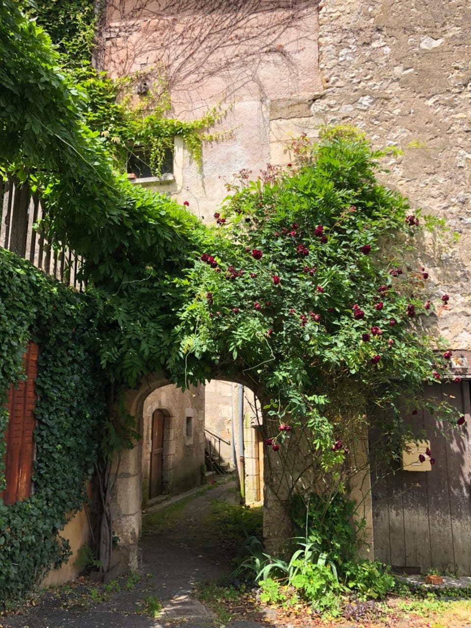 Demeure de charme du 16ème siècle près de Sancerre Apartment in Sancerre