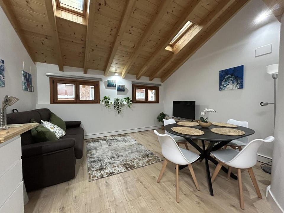 Hiri Zahar Suites 3 Apartment in Arratia-Nerbioi