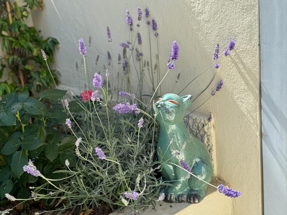 Garden, Decorative detail, Garden view