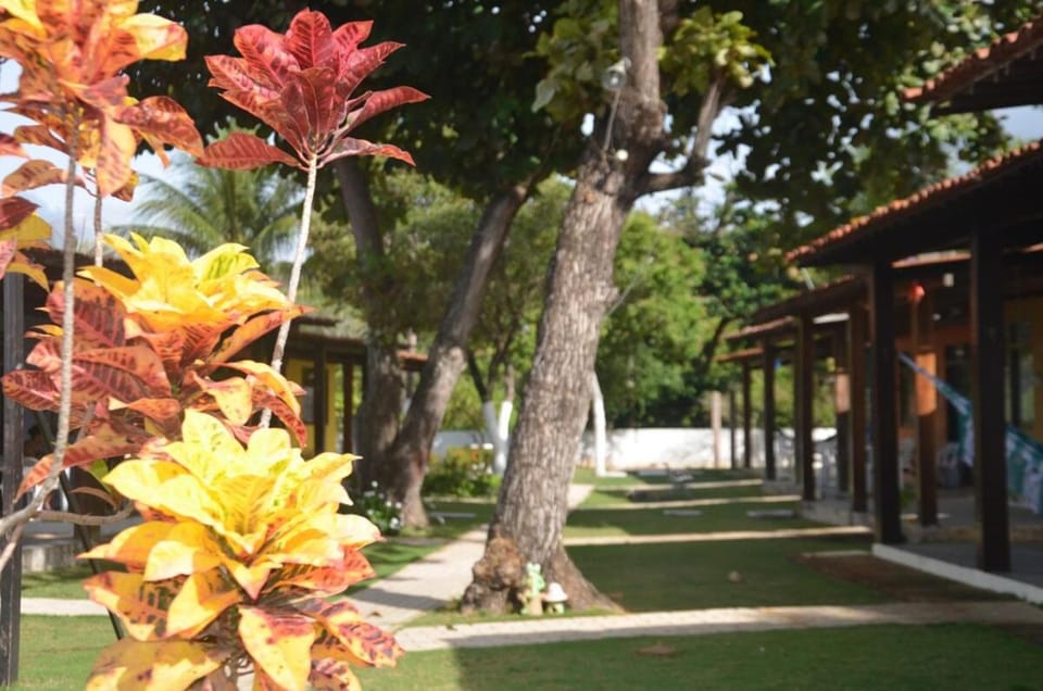 casaverdeMaragogi House in State of Alagoas, Brazil