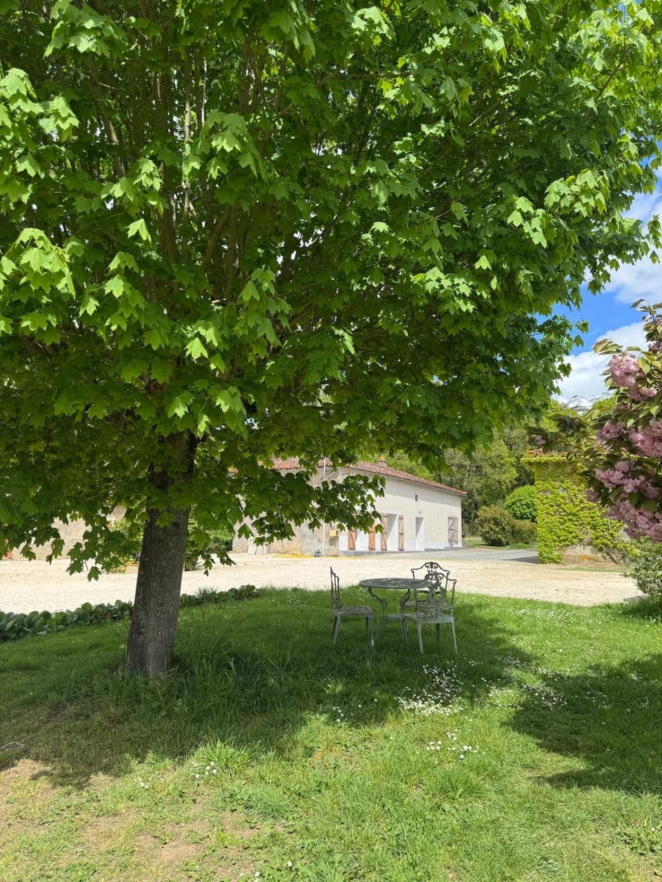 Natural landscape, Garden, Garden view