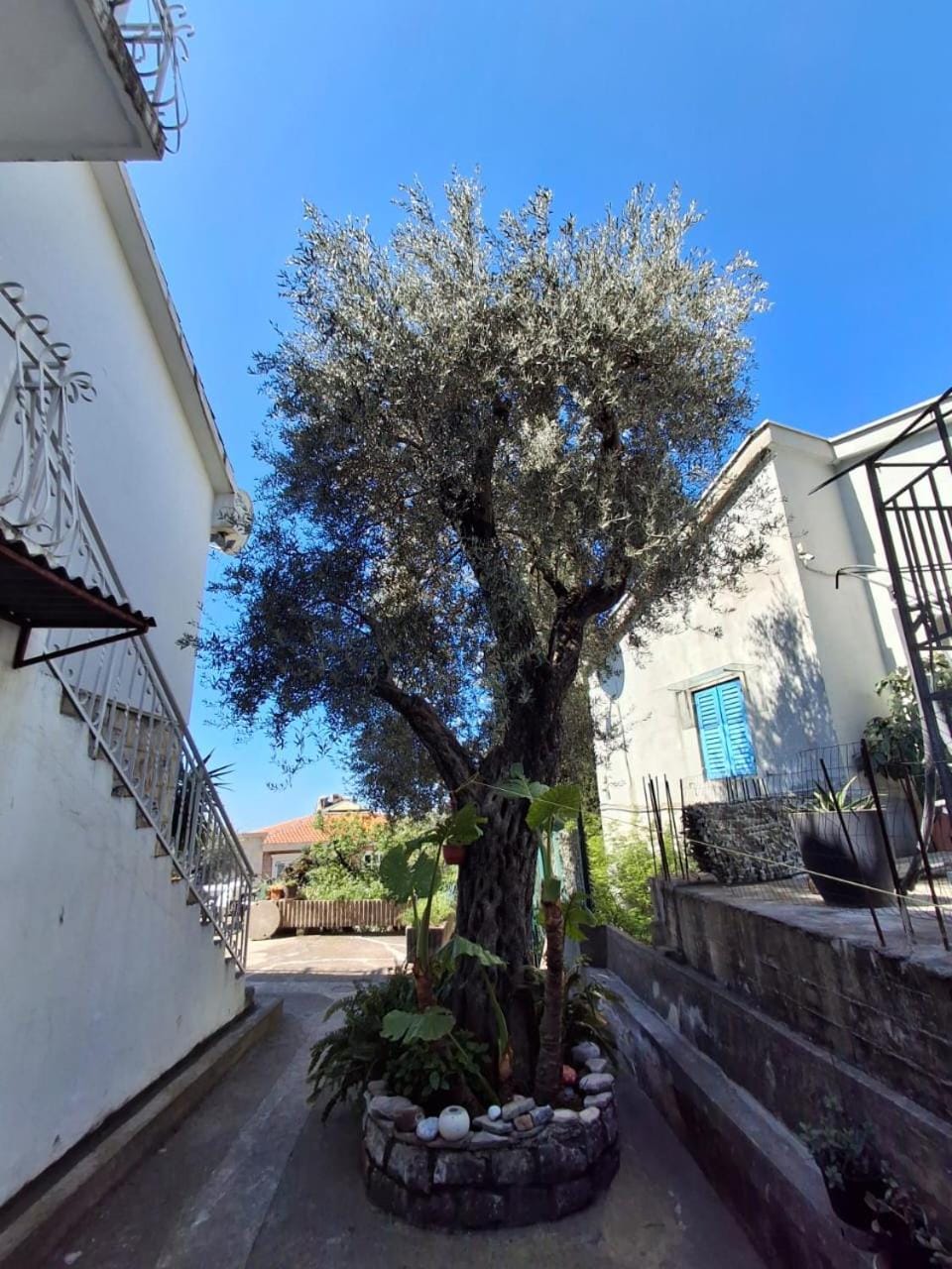 Property building, Garden view