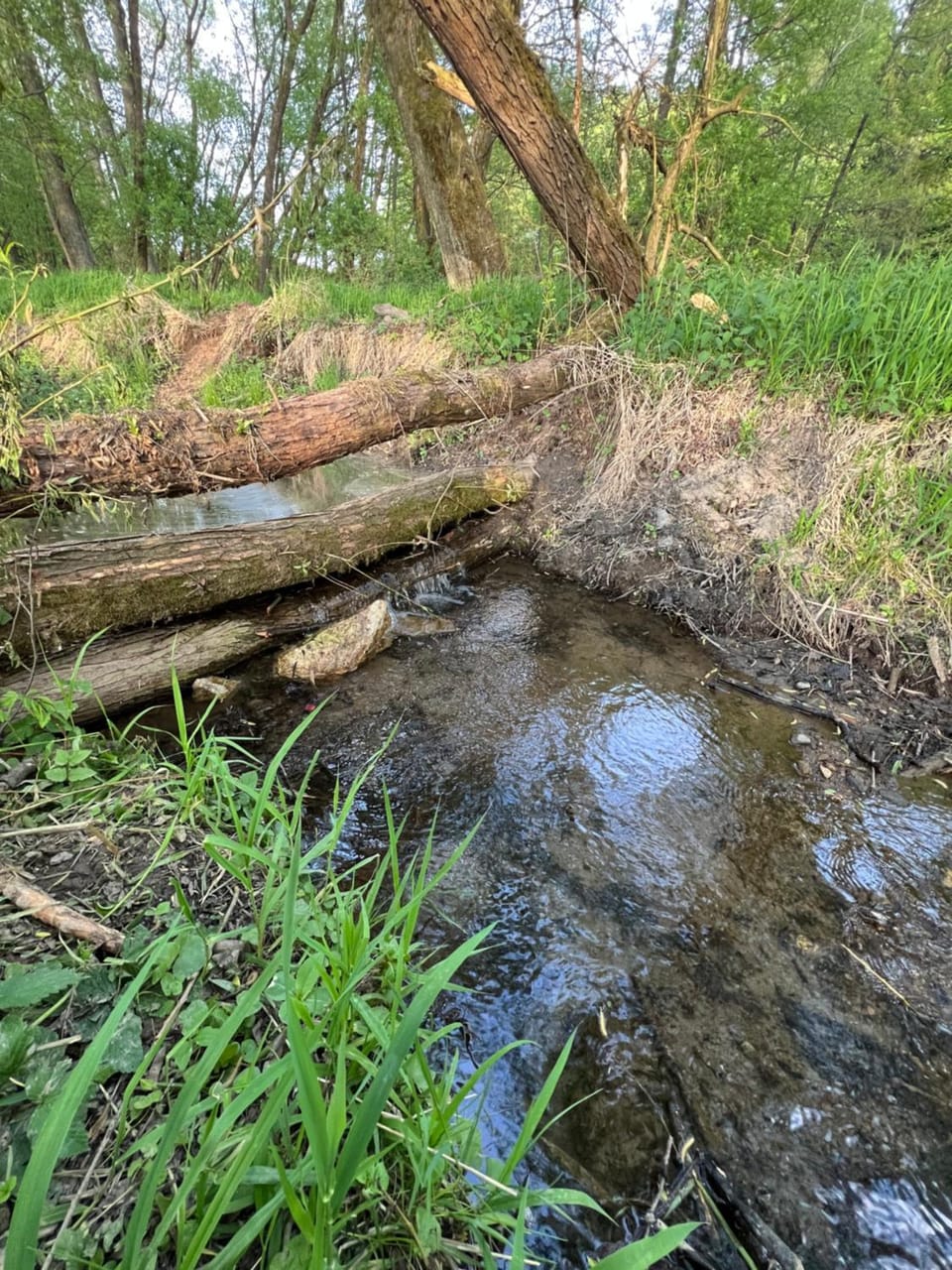 Natural landscape